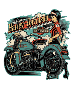 vintage Gasoline Bandit